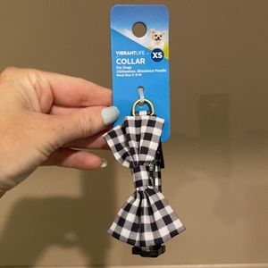 XS dog collar with bow